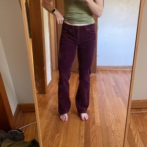 Patagonia Corduroy Pants